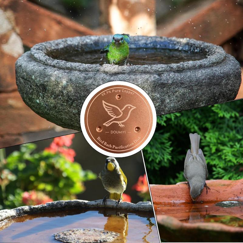 Kuş Banyosu Bakır Diski Bakır  - Bath incelemesi ve fiyatı